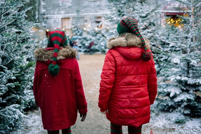 Winter Wonderland in the Farmyard